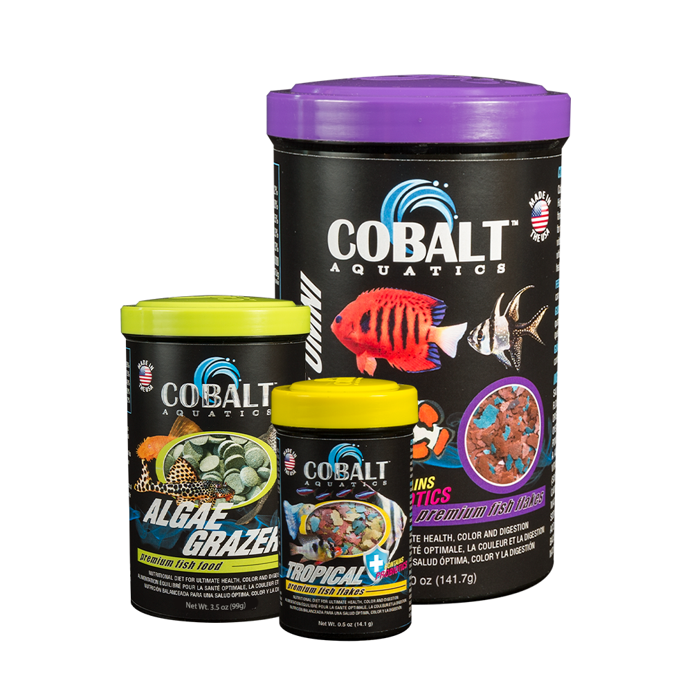 Cobalt 1.2oz Goldfish Color Flakes