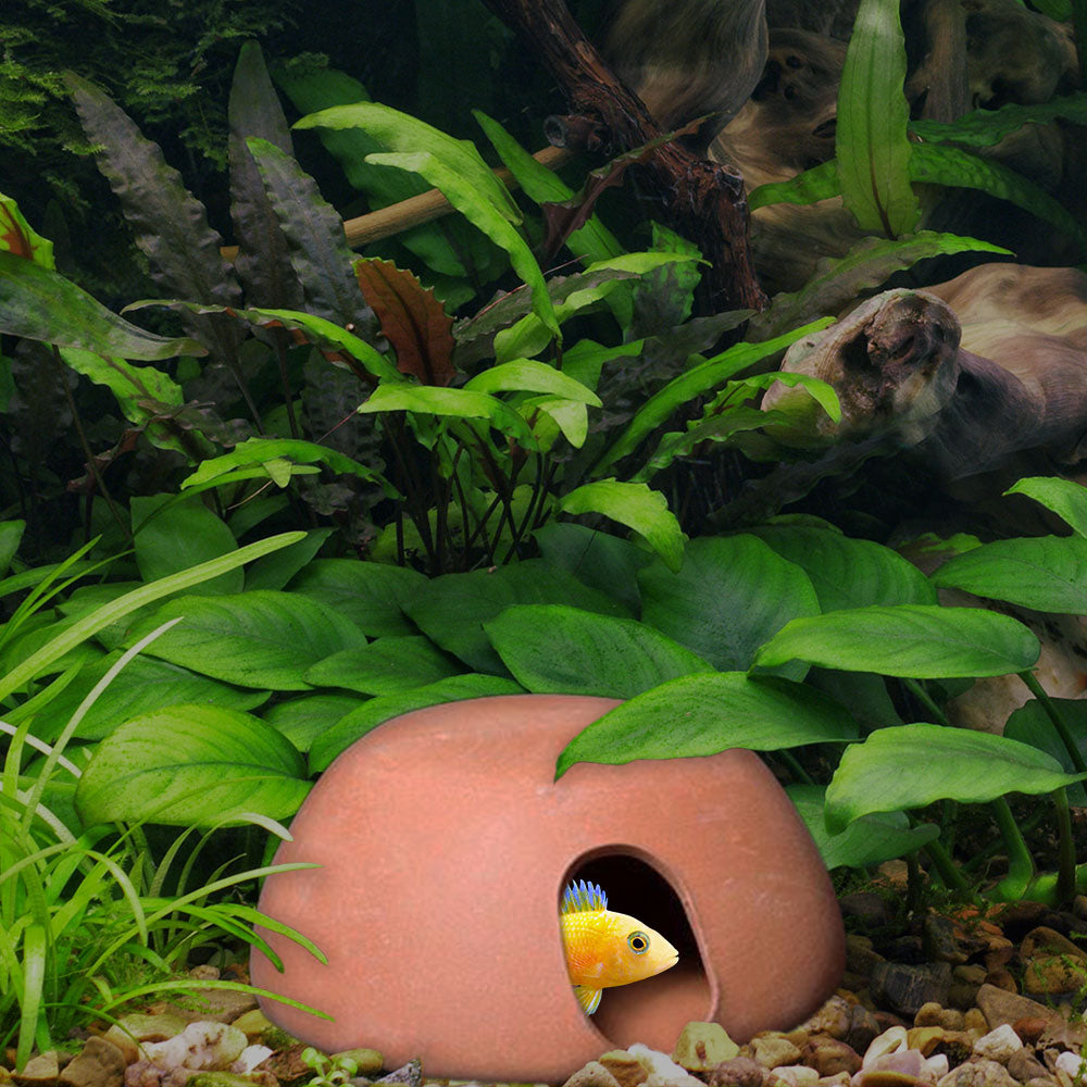 Cichlid Huts