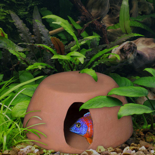 Cichlid Huts