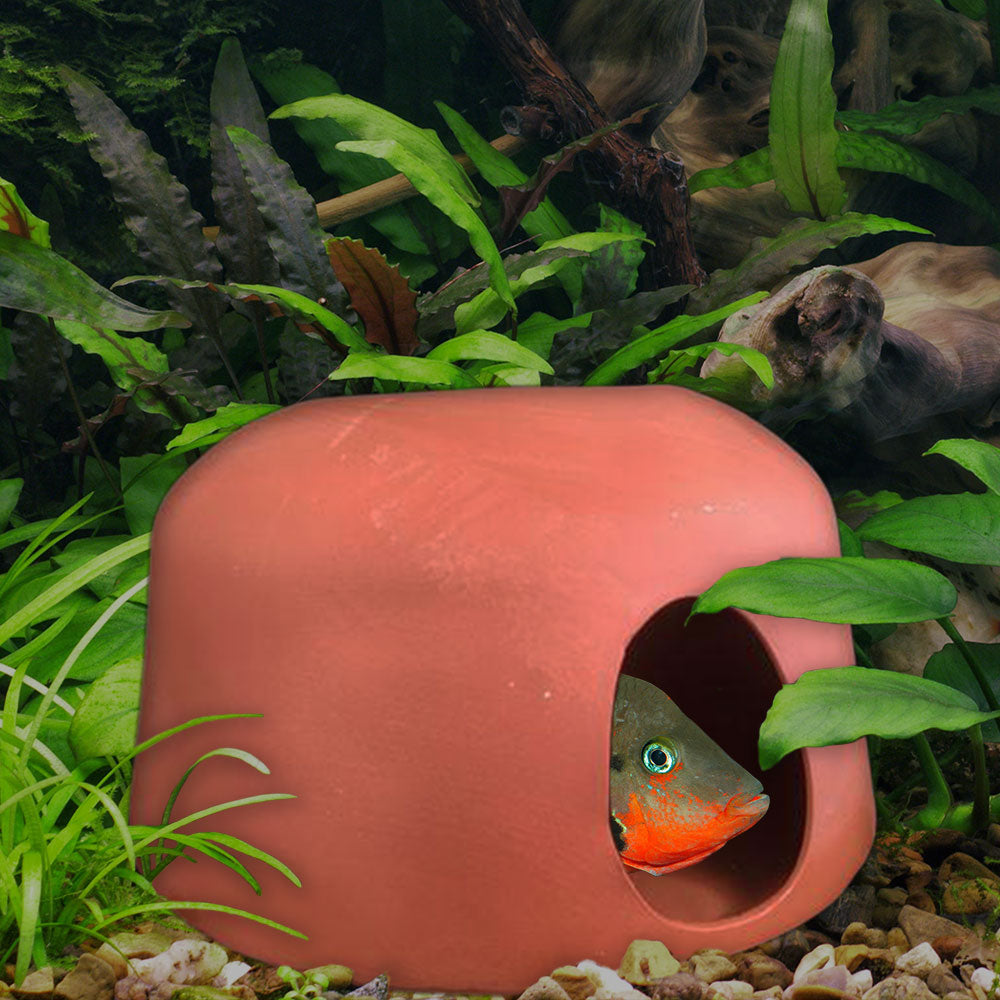 Cichlid Huts