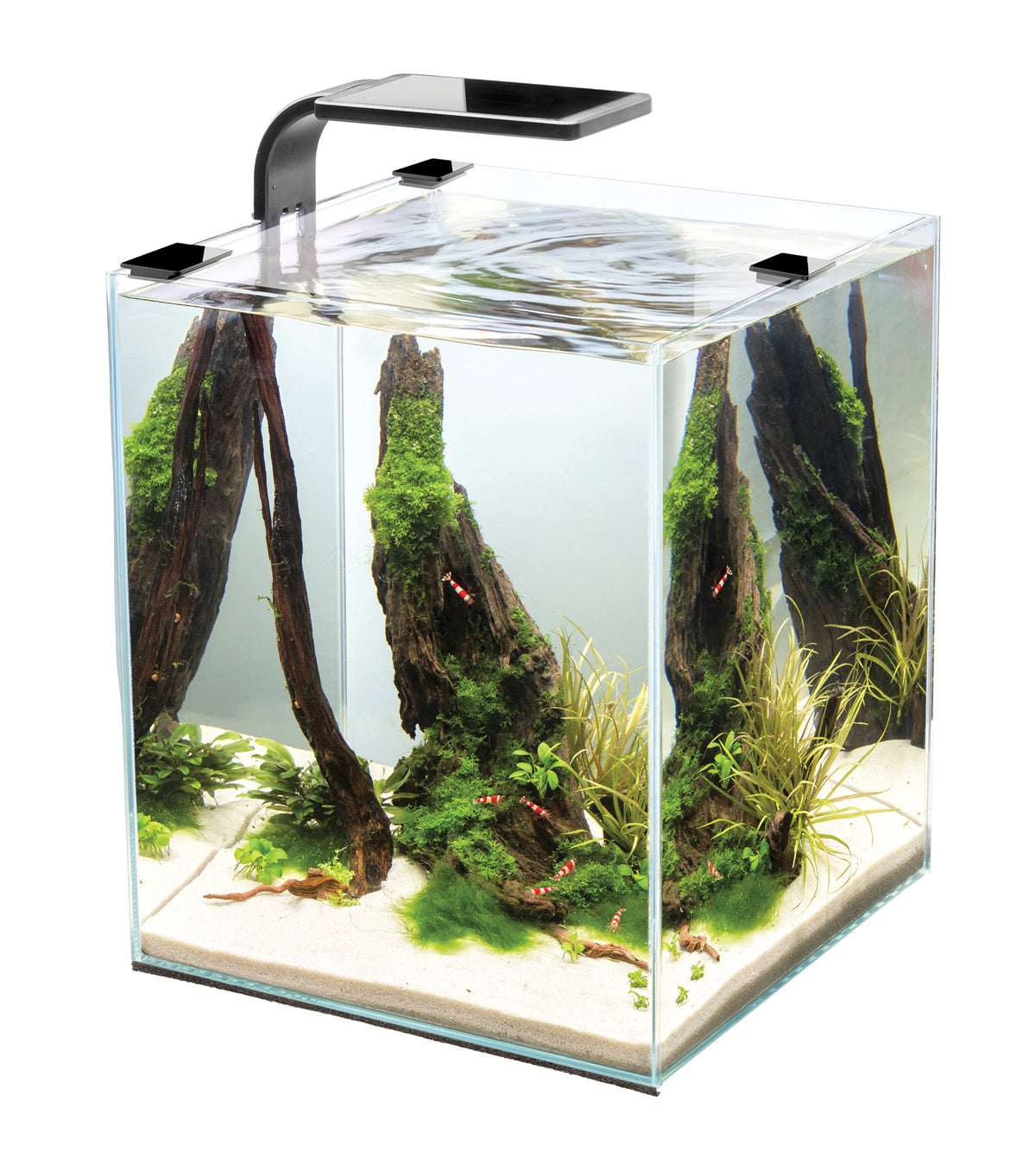 Microvue Aquarium Kit