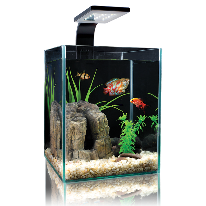 Microvue Aquarium Kit